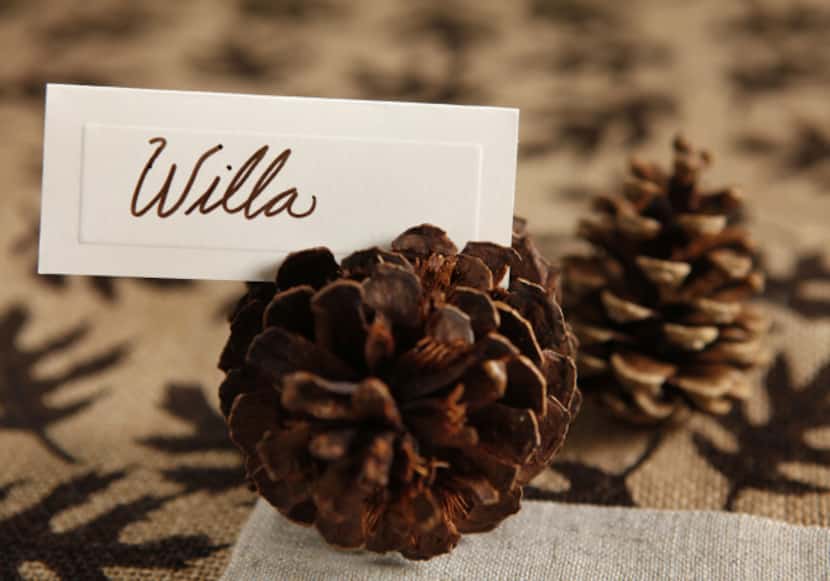 A place card idea using small pine cones as holders.