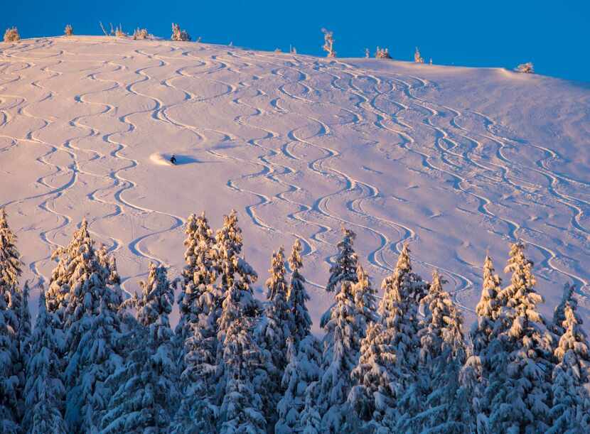 
Mount Bachelor, which is 22 miles west of Bend, Ore., has new snow and could stay open...