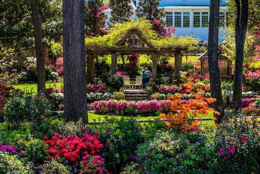 Historic homes and public spaces are on display during  Tyler's annual Azalea and Spring...