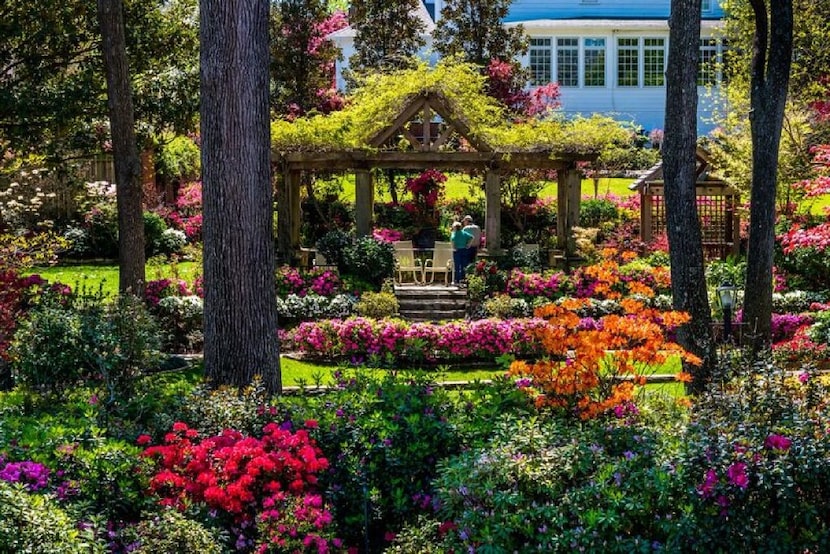 Historic homes and public spaces are on display during  Tyler's annual Azalea and Spring...