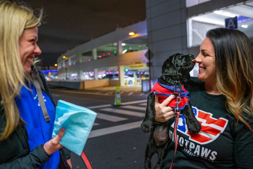 Carrie Robinson (right), a veterinary technician with Patriot Paws in Rockwall, receives an...