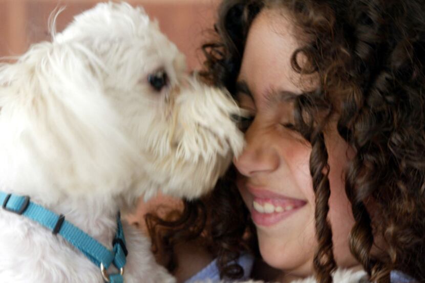Pawneez Zamani, 7, of Irving enjoyed a kiss from her Maltese, Sugar, at the Valley Ranch Pet...