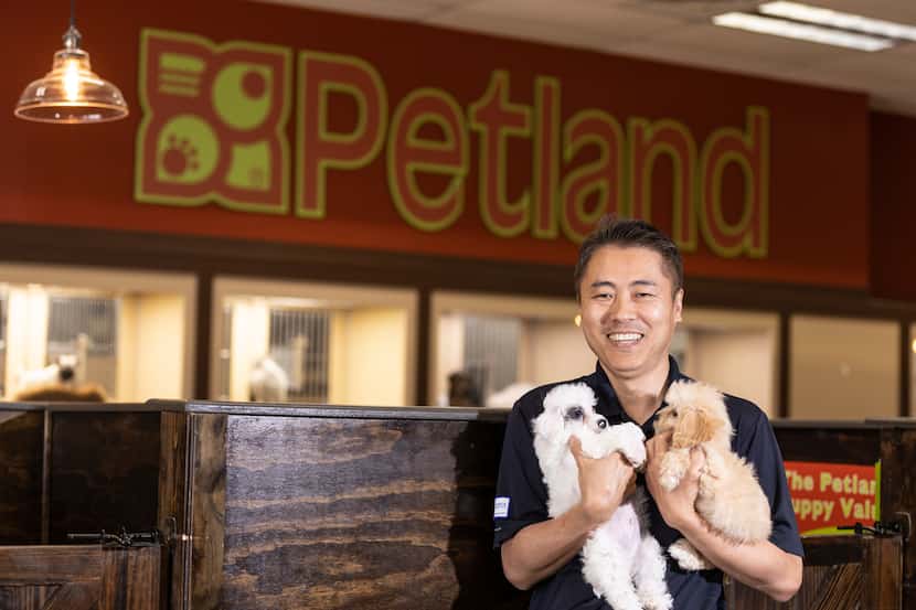 Petland store owner Jay Suk poses with two puppies for sale at his Dallas store.