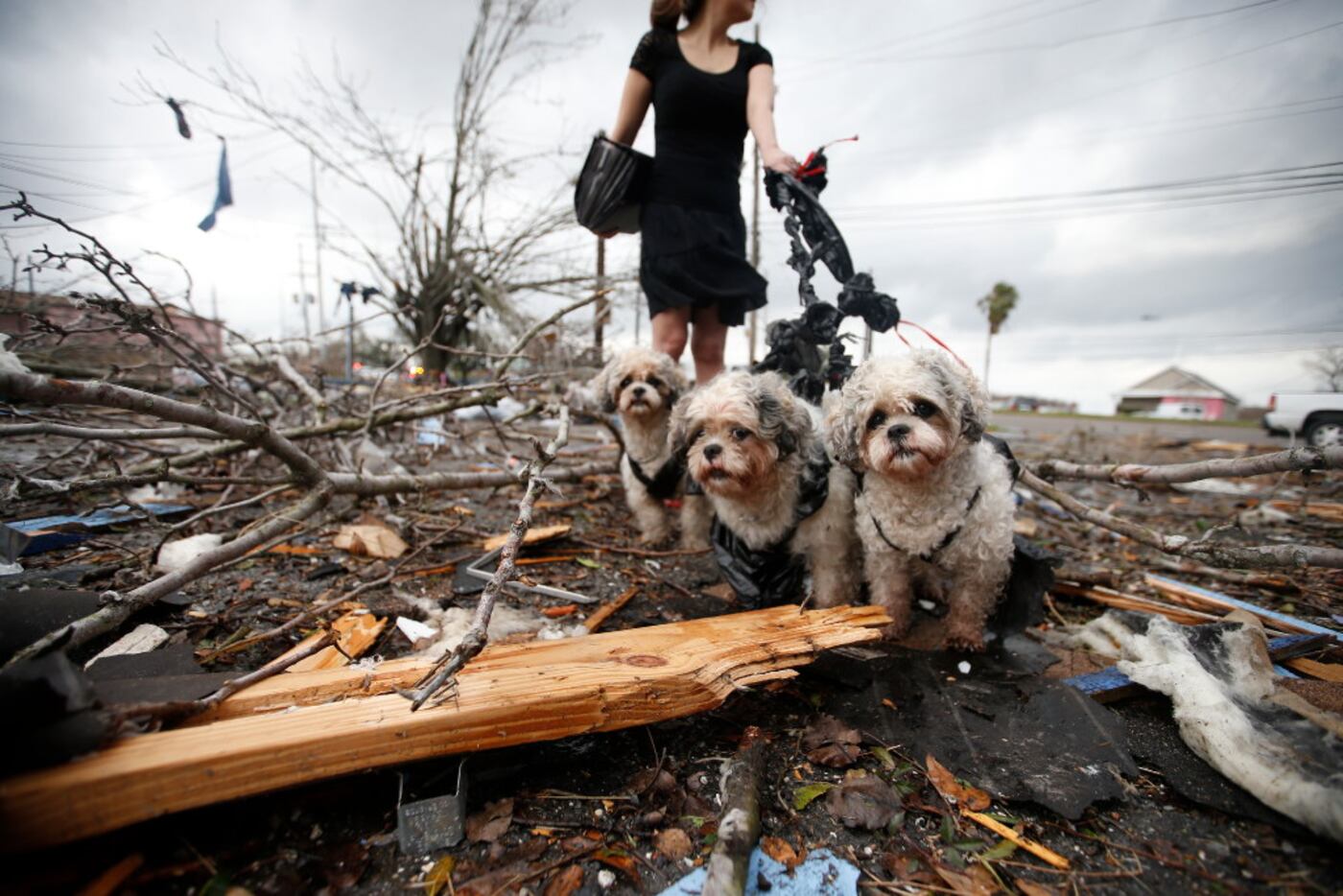 A woman holds the dogs by a make shift leash among the debris left behind by a tornado on...