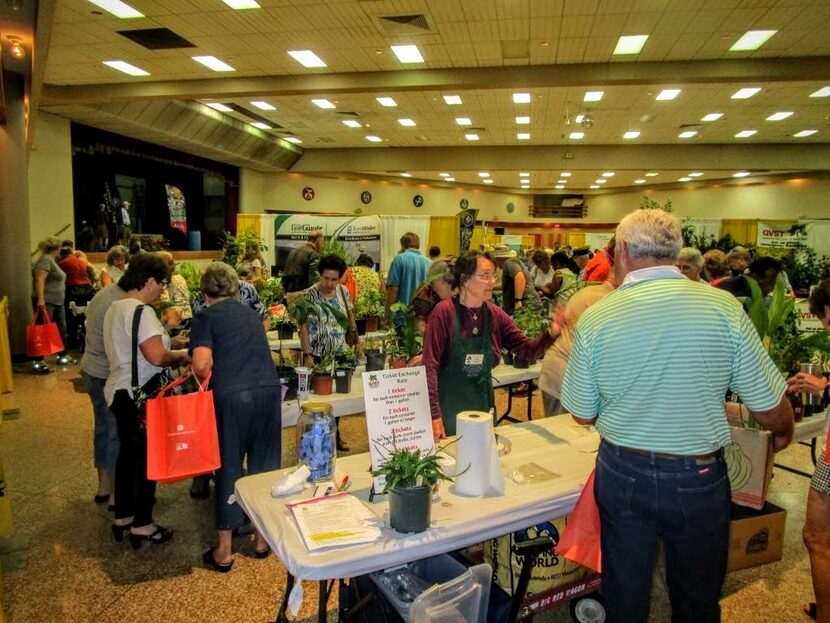 The Festival of Flowers in San Antonio is a giant plant exchange.