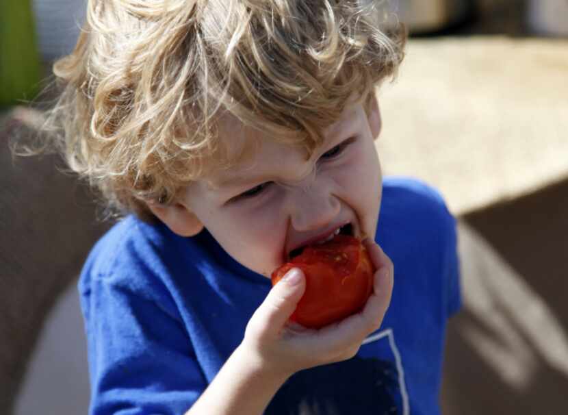 Asher Lohse eats a tomato at the White Rock Local Market at Lakeside Baptist Church on...