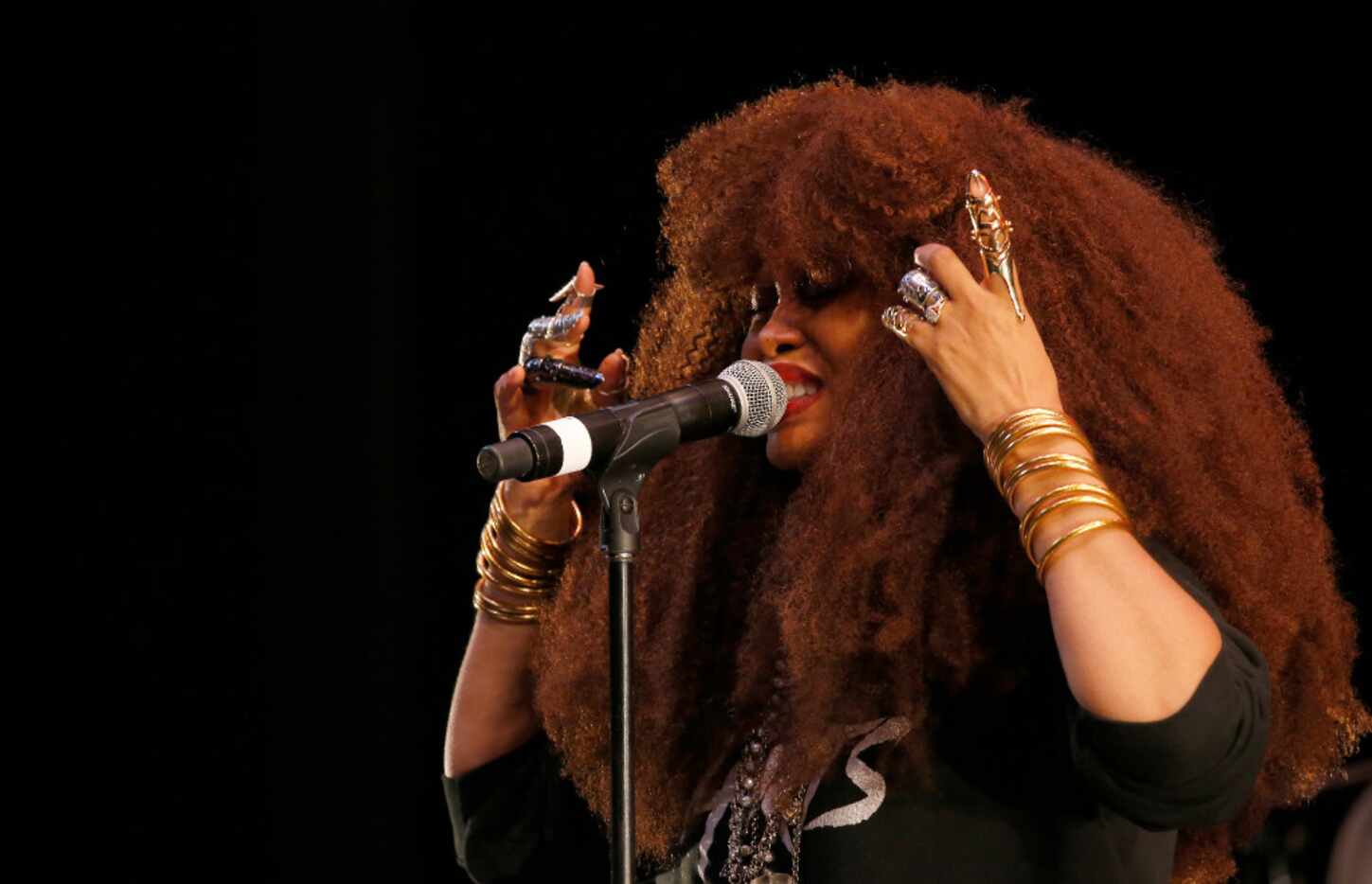 Erykah Badu performs on stage during the Booker T. Washington's 40th Year Celebration at...