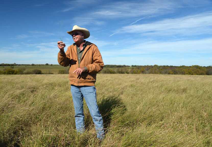 Jon Taggart holds up a sprig of silver bluestem in front of a monoculture field of...