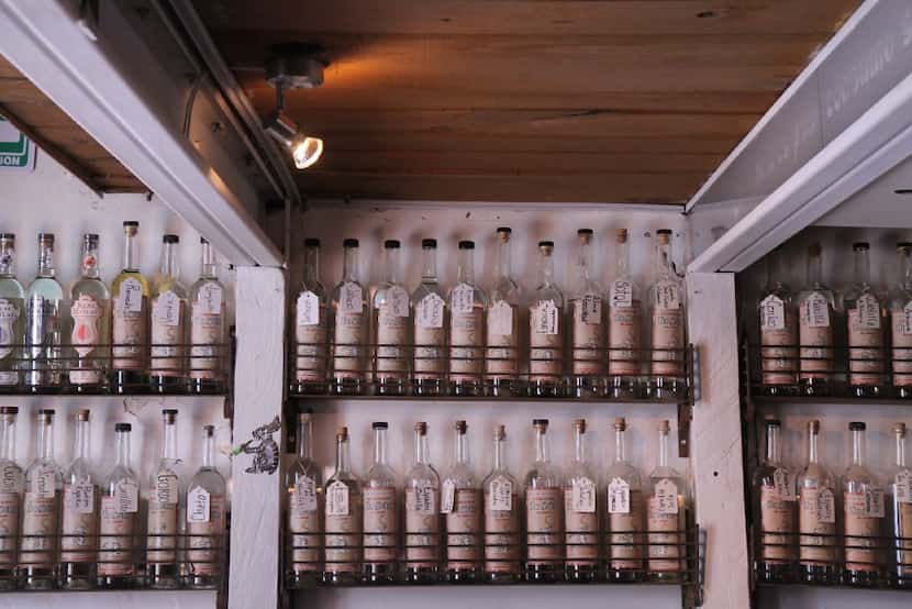 A selection of agave spirits lining the walls of In Situ, a mezcaleria in Oaxaca
