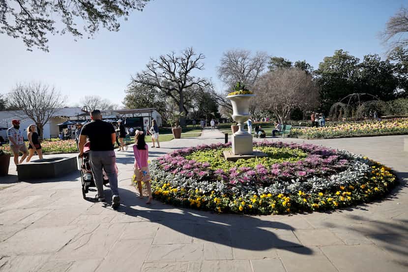 People walk around at the Dallas Arboretum and Botanical Garden, Saturday, Feb. 24, 2024, in...
