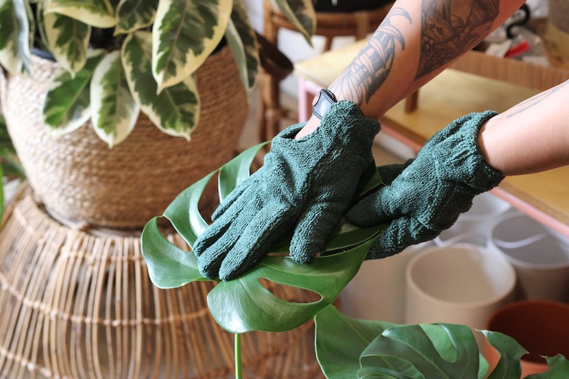 These We the WIld leaf-cleaning gloves from The Planting Hand will help keep your plant's...