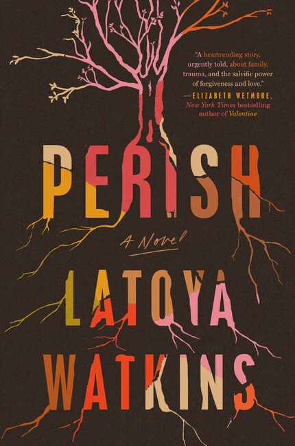 LaToya Watkins' "Perish" is the searing story of a family called home to say goodbye to its...