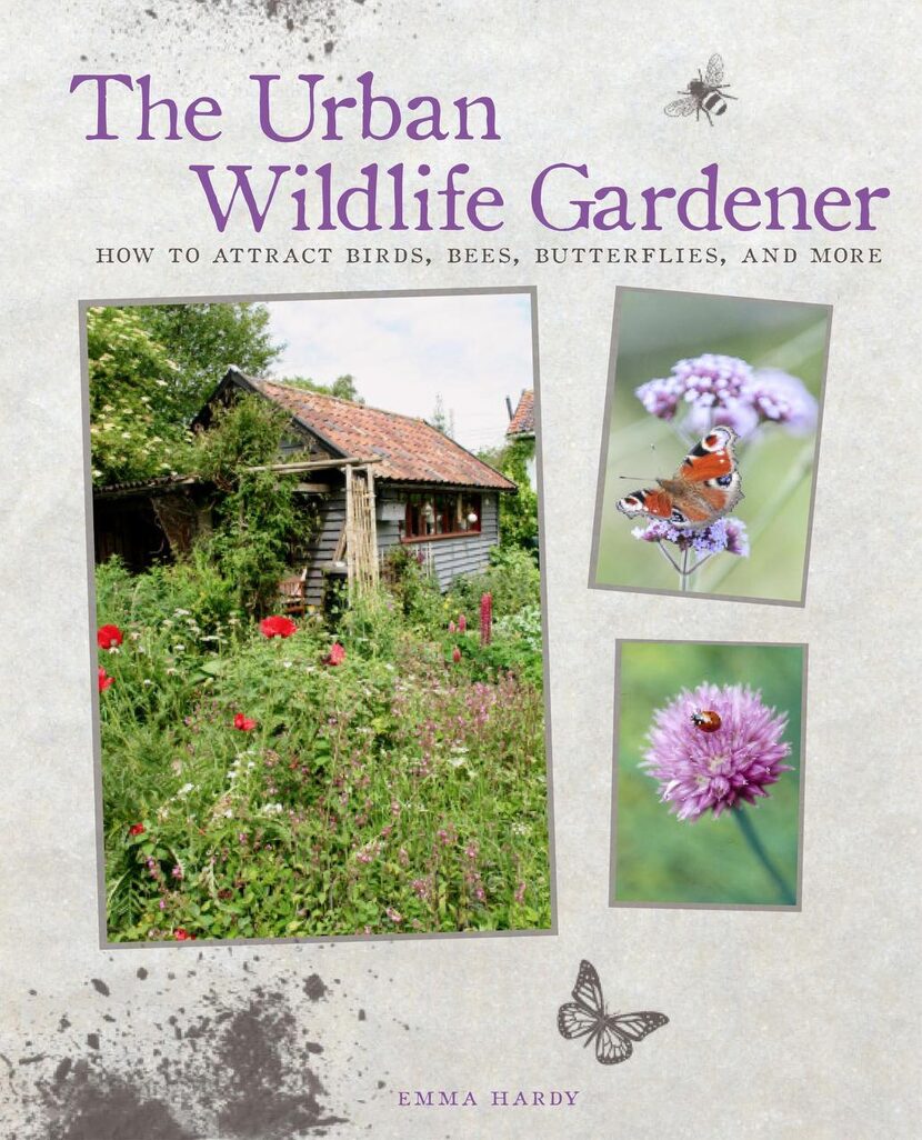 
The Urban Wildlife Gardener by Emma Hardy will be published by CICO Books in February.
