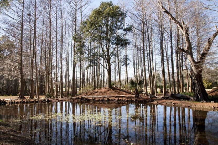 Avery Island in Louisiana is home to McIlhenny Company, the makers of Tabasco. The company...