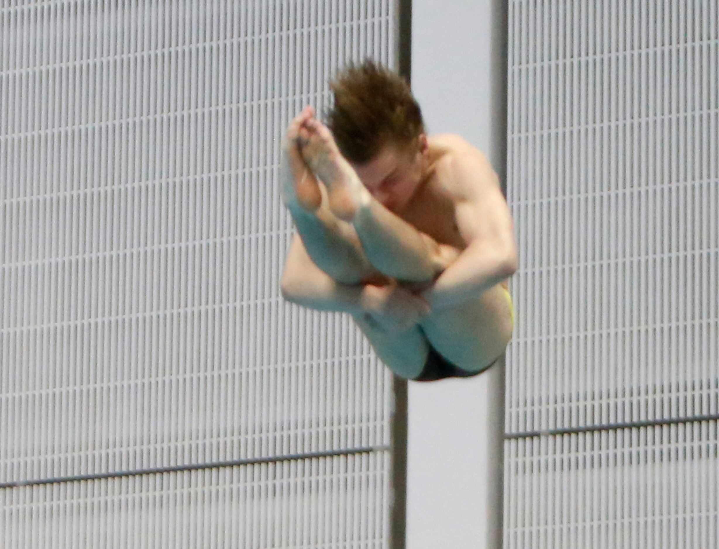 Keller Fossil Ridge diver Colton Cryer competes in the 6A Boys Diving competition. The first...