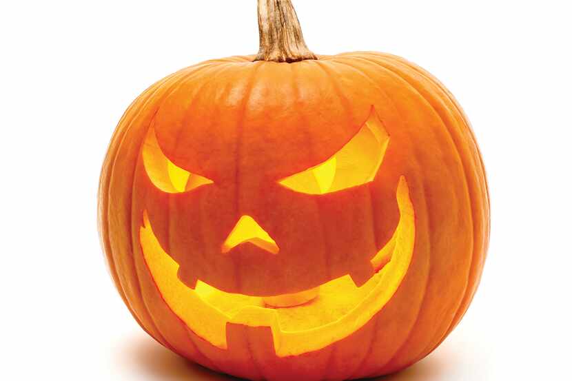 Jack o Lantern Halloween pumpkin grinning in the most evil fashion, isolated on white