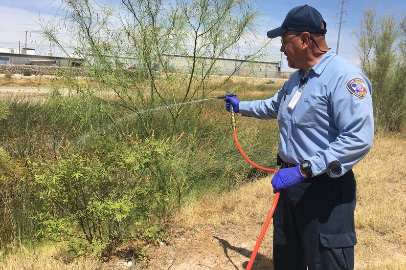 Ricardo Lino, a vector control  officer in El Paso, sprays standing water near a reservoir...