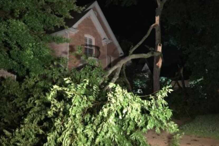 Downed trees were a problem in a Flower Mound neighborhood after storms swept through late...