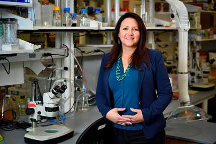 Pamela Padilla, la nueva decana de la facultad de ciencias de University of North Texas,...