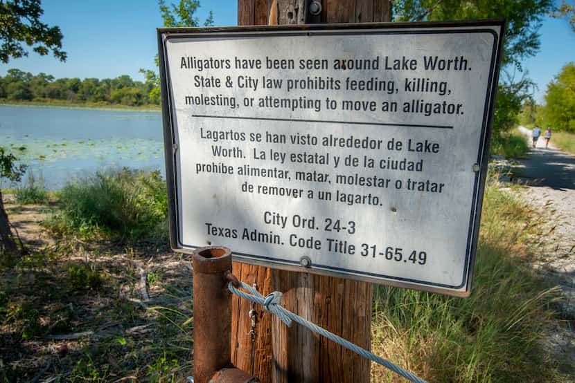 A sign posted at the the Greer Island trailhead warns that alligators may be present at the...