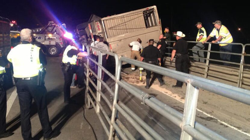 A cattle truck loaded with livestock overturned early Wednesday, shutting down the ramp from...