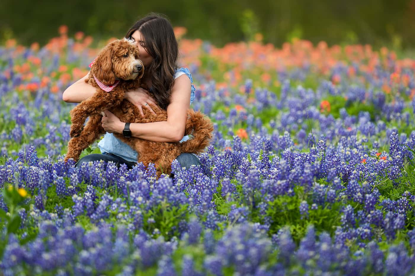Emmi Moffitt kisses her dog Birdy as they enjoy a field of bluebonnets at Bluebonnet Park on...