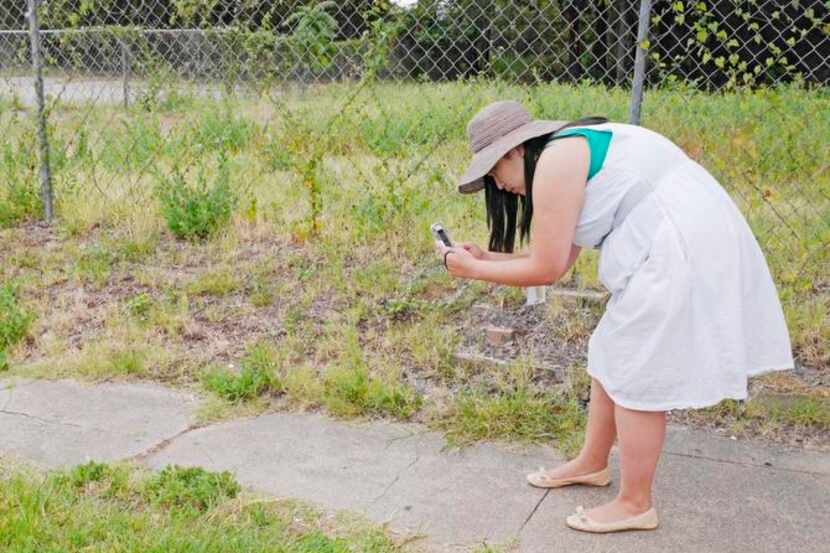 
Monica Huerta uses the Dallas 311 phone app to record grass growing over a sidewalk on...