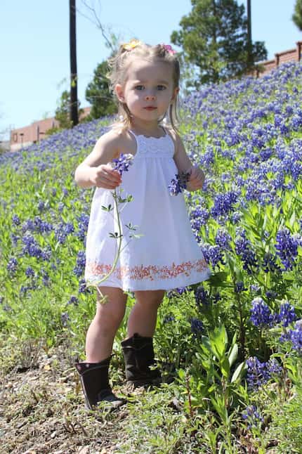 Rayli Lewis, 2, enjoys a bluebonnet patch in Carrollton. Rayli may not be a criminal, but...