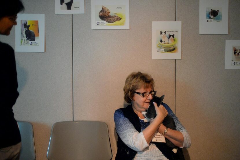 
Joanne Craiker from the Take Me Home Pet Rescue group holds a cat during Muffinmeow Cafe...