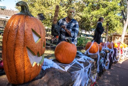 Adam Bazaldua, Dallas City Council member for District 7, dressed as horror movie character...