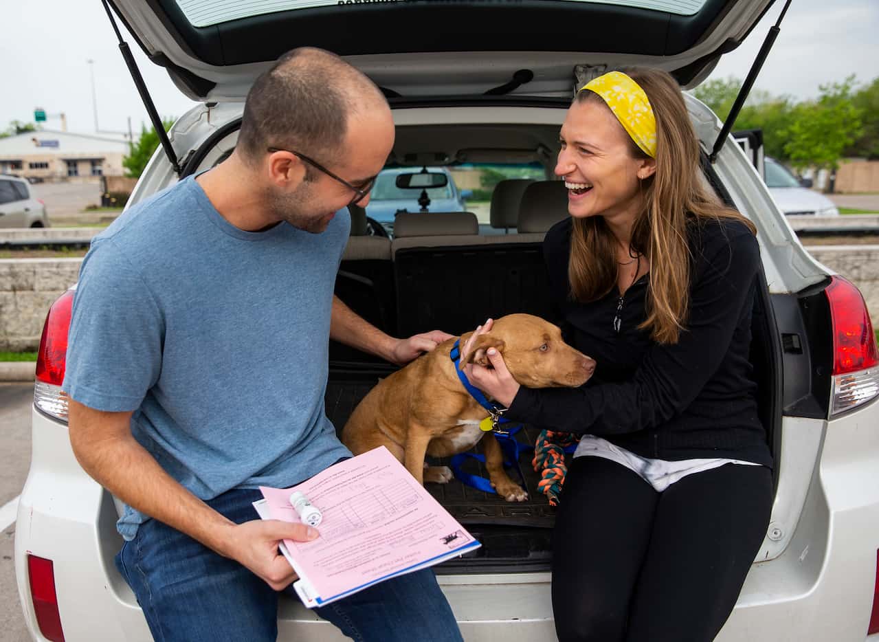Drew Morgan and Lexi Sorbara, first-time fosters for Dallas Animal Services, picked up...