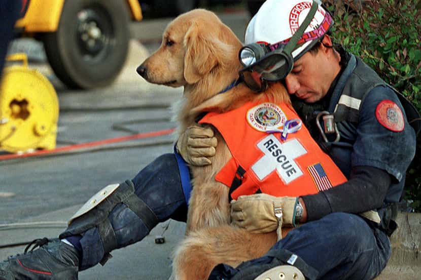  4/26/1995--Skip Fernandez of the Dade County Florida Search & Rescue team hugs his dog...