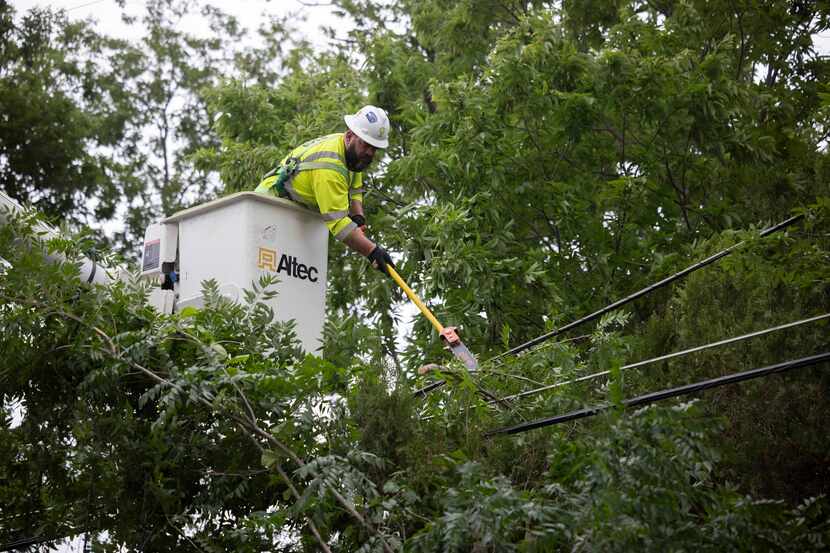 Tito Aguila, a foreman with Trees, LLC, removes tree limbs from a power line behind Casa...