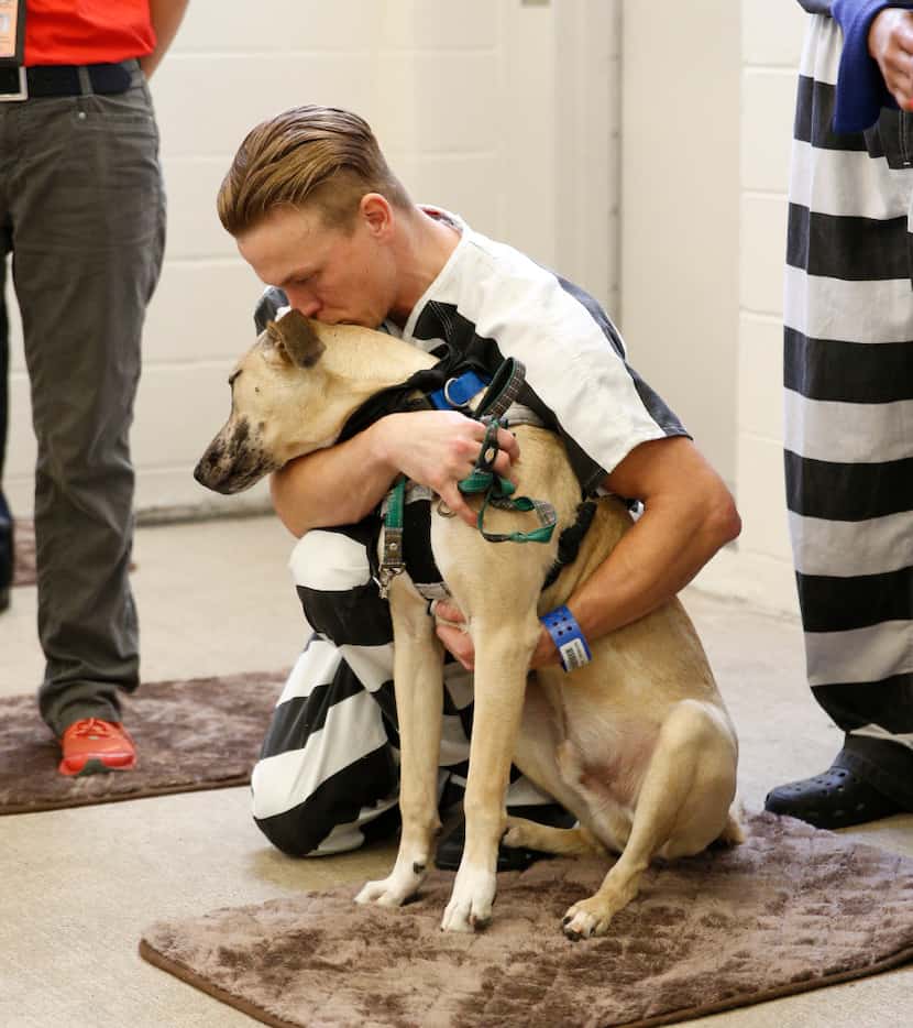 Dallas County inmate Christopher Whiteley kissed his dog "T-Bone" during a news conference...