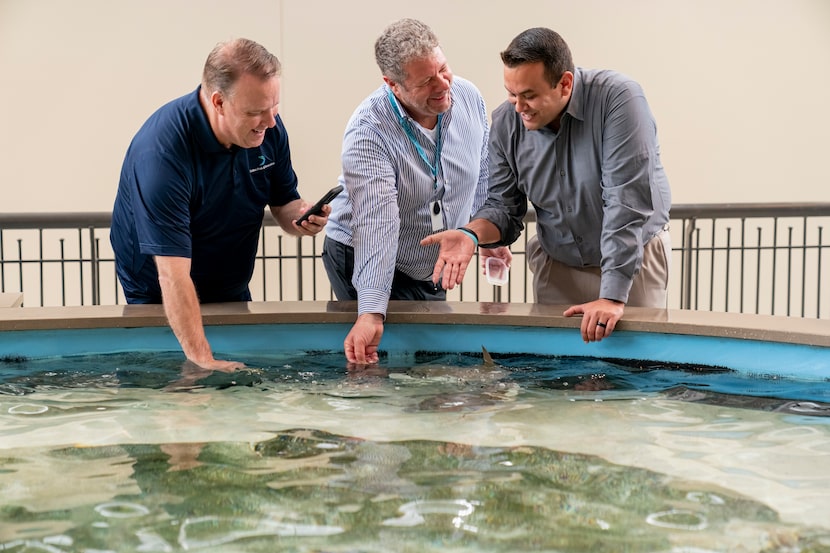 From left, Dallas Park Board member Daniel Wood, zoOceanarium Group managing director Chris...