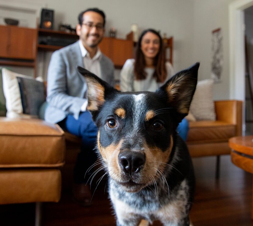 Nic Carmona (left) and Melissa Rodriguez watch their dog Luna get close to the camera on...