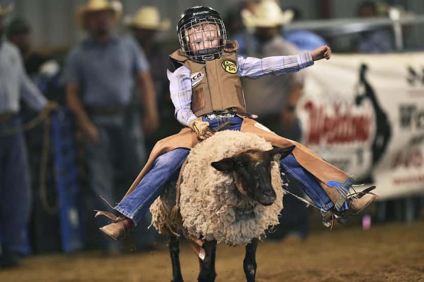 Lealond Henderson (6) of Argyle hangs on as he rides in the Mutton Bustin' competition...
