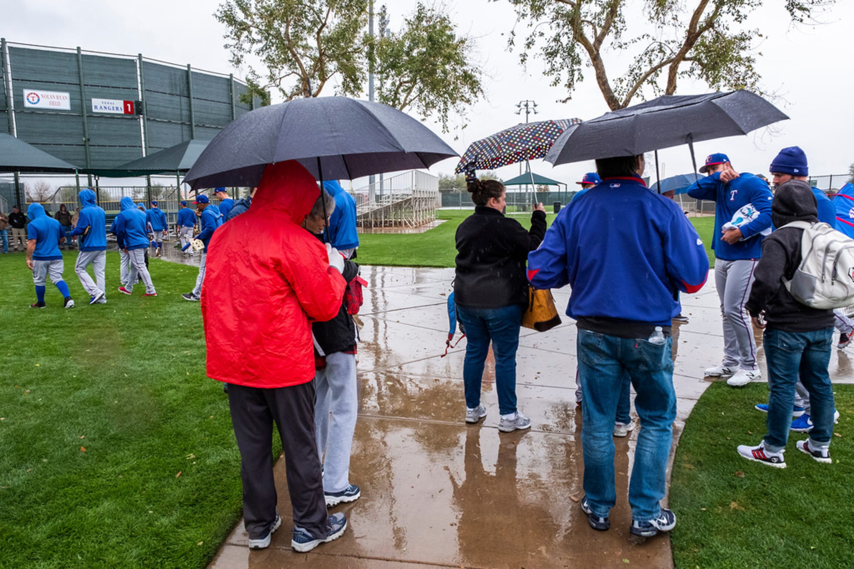 Fans huddle under umbrellas to try and get autographs from Texas Rangers players during a...