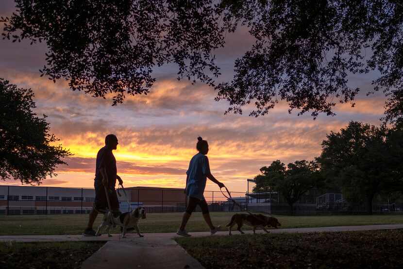 A couple walks their dogs Monday night at Ferguson Park, where police were forced to shoot...