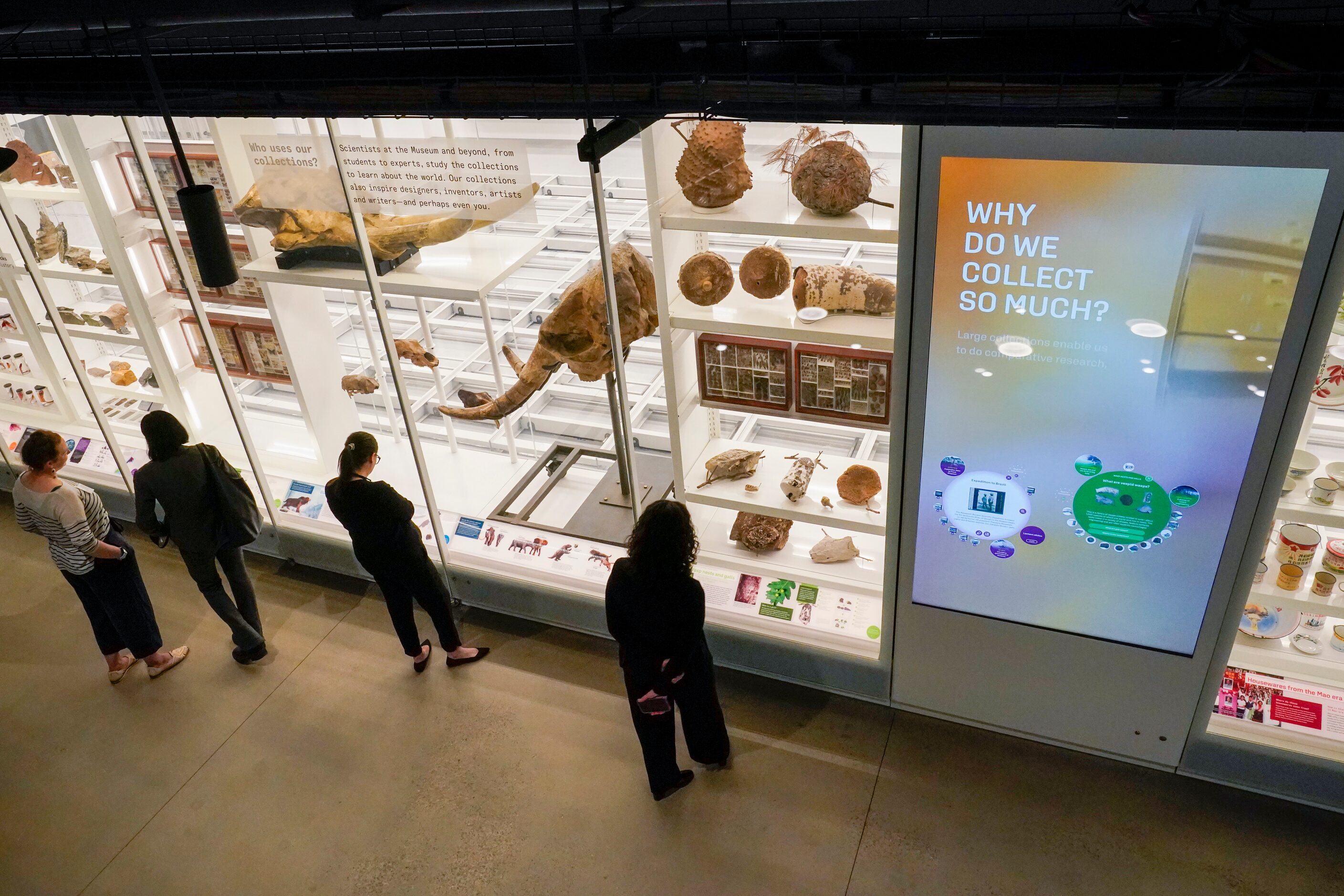 Visitors take in the specimens displayed during a media preview of the Richard Gilder Center...