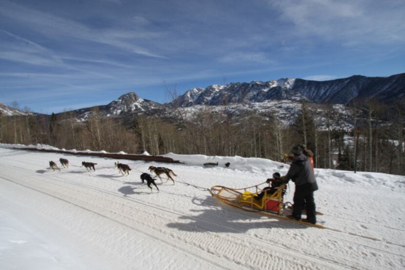 The Durango Dog Ranch will offer dog-sledding at the base area at Durango Mountain Resort...