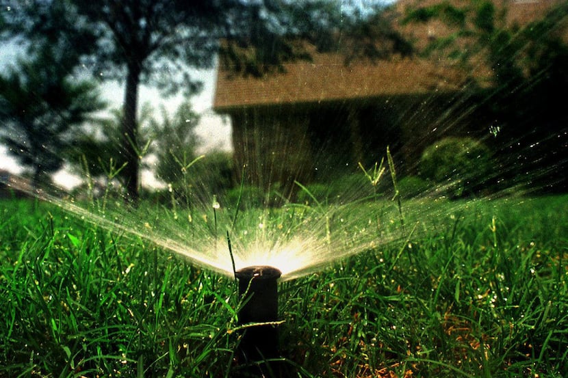 Residential customers of Dallas Water Utilities can make an appointment for a free check on...
