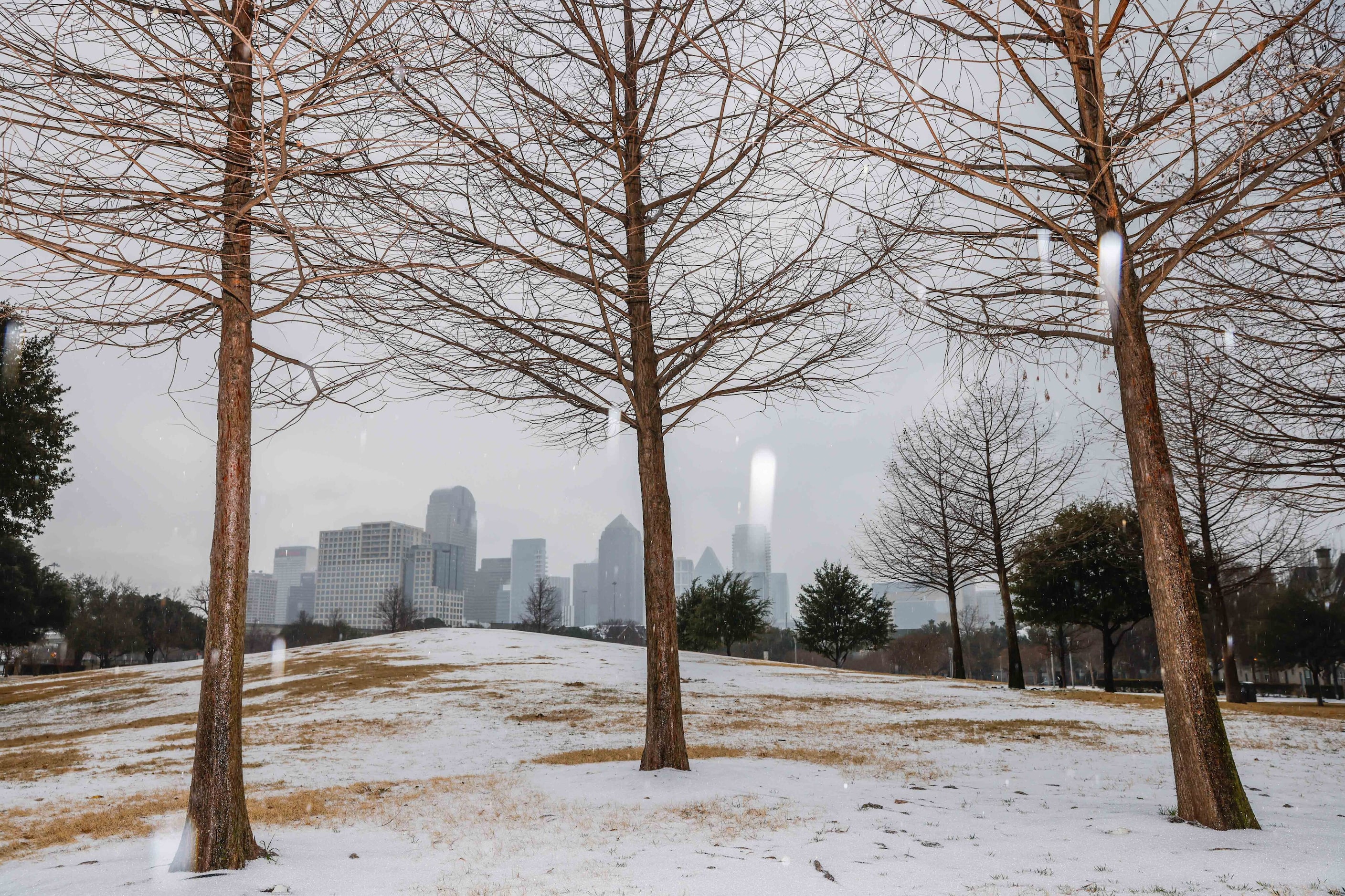 Sleet falls over the Dallas metroplex on Tuesday, Jan. 31, 2023. Weather conditions are...