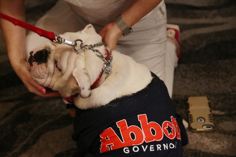 A supporter pets Reagan, who is wearing a Greg Abbott for Texas governor shirt, before U.S....