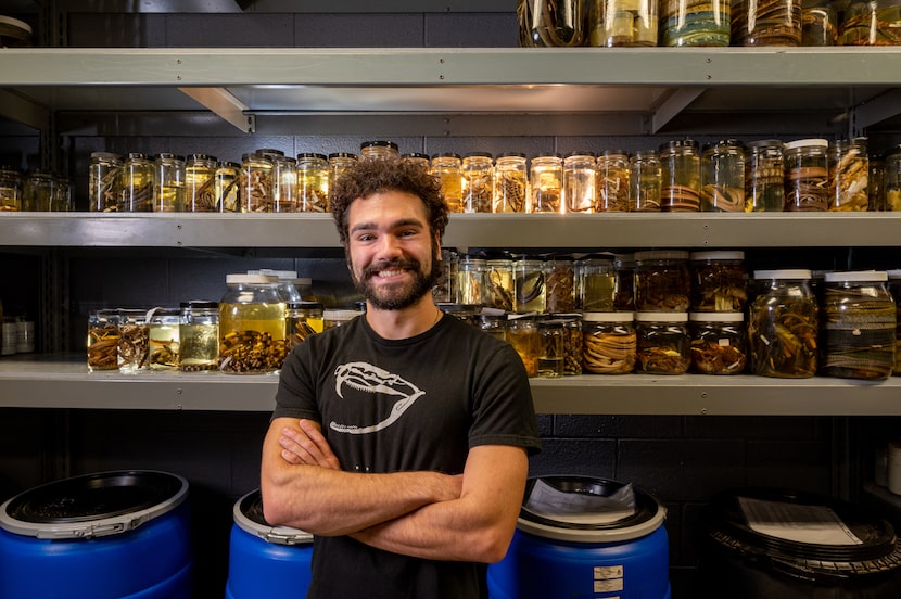 Greg Pandelis, curator of the University of Texas at Arlington's Amphibian and Reptile...