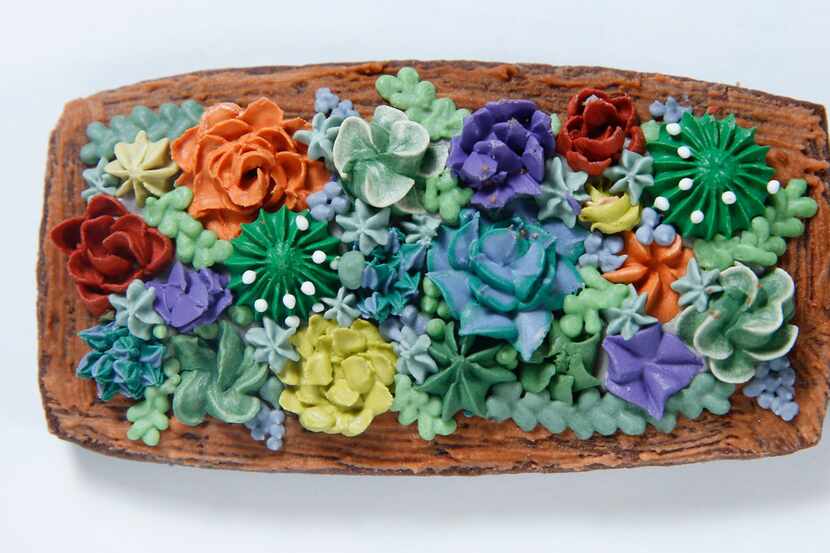 Chocolate Sugar Cookies with Succulents by Amy Kerber 