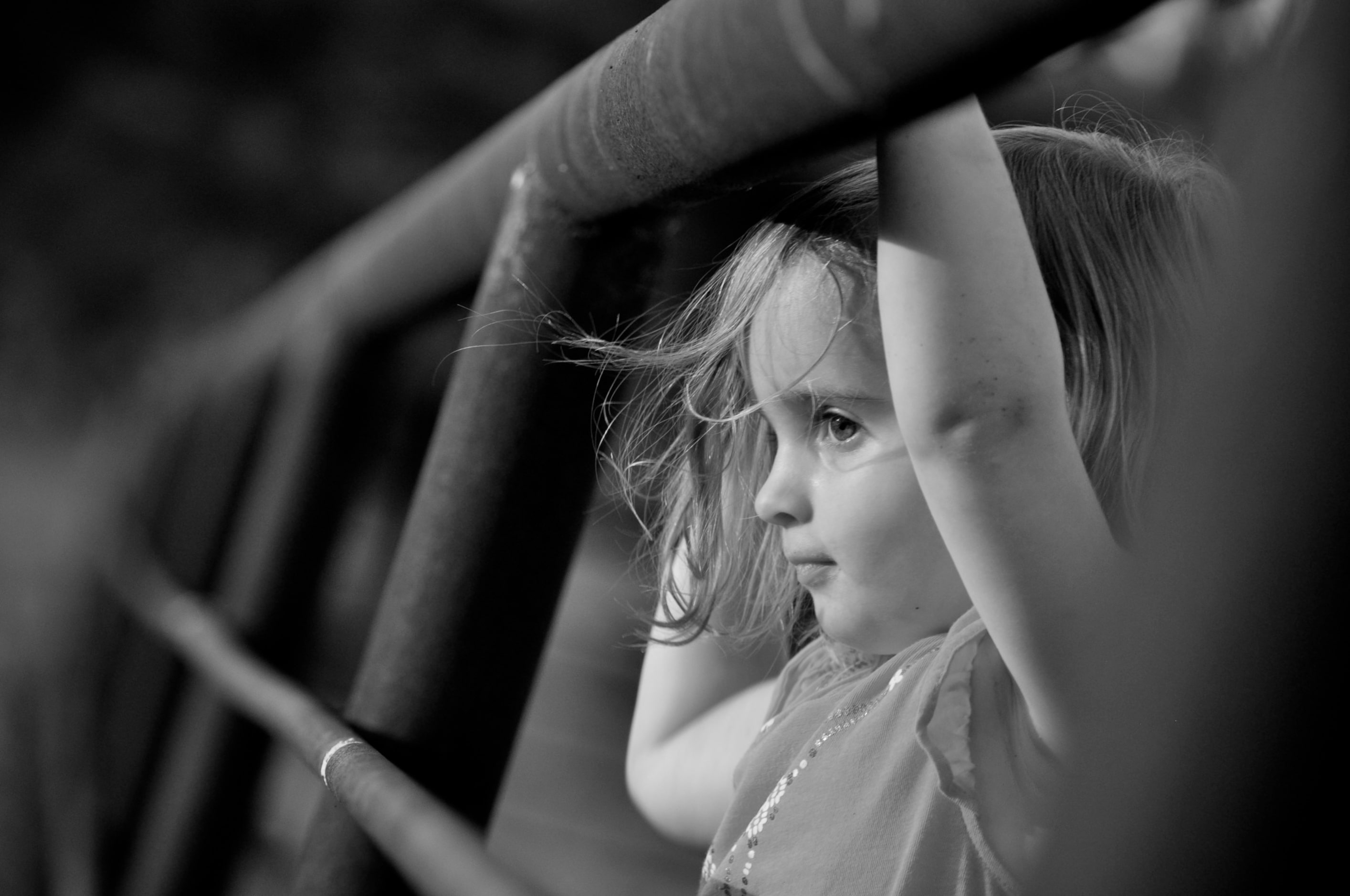 "Looking Through the Cattle Fence" by Leah Cole. 