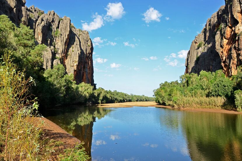 Windjana Gorge is a beautiful oasis lush with paperbark, cajeput, fig and leichhardt trees.