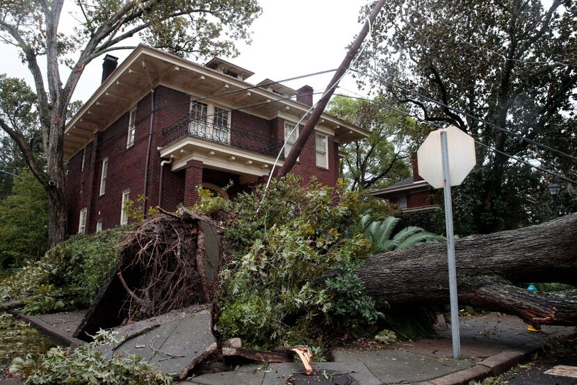 A view of downed tree and damaged power lines in a residential neighborhood, October 8, 2016...