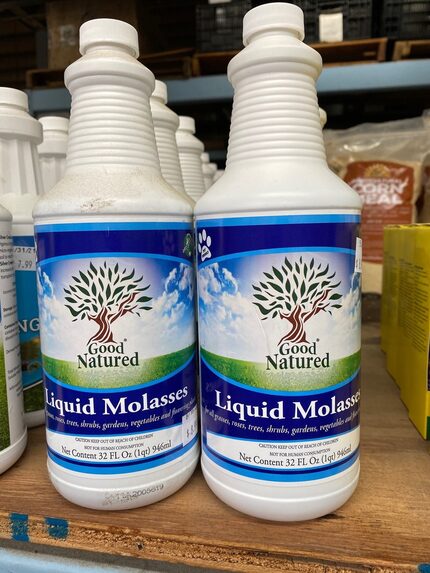 For soil help, liquid molasses is normally sprayed or poured at 2 ounces per gallon of water...